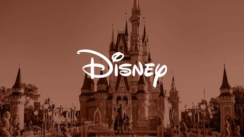 Cinderella Castle at Walt Disney World with Logo Disney on front