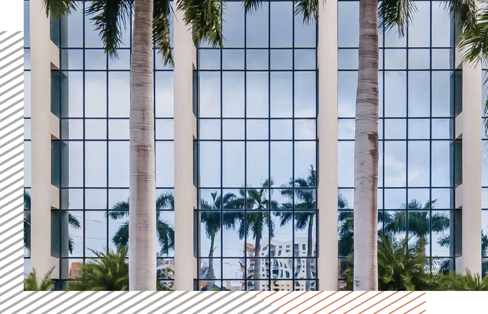 Modern office building with palm trees reflected in large glass windows.