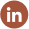 LinkedIn social icon