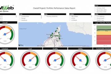 PMWeb Overall Project's Portfolio Performance Status Report