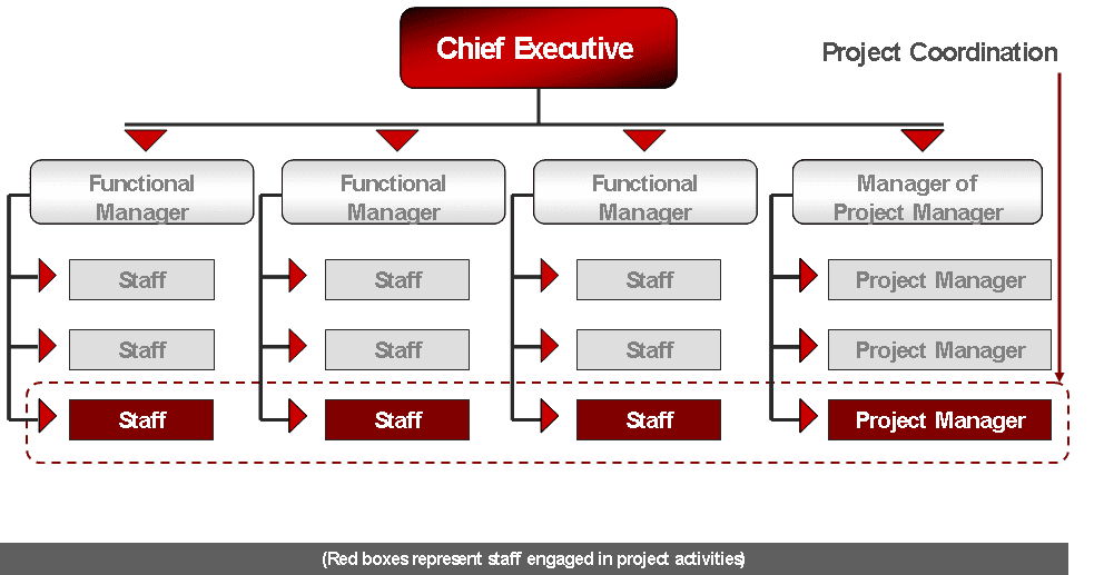 PMWEb Project Coordination