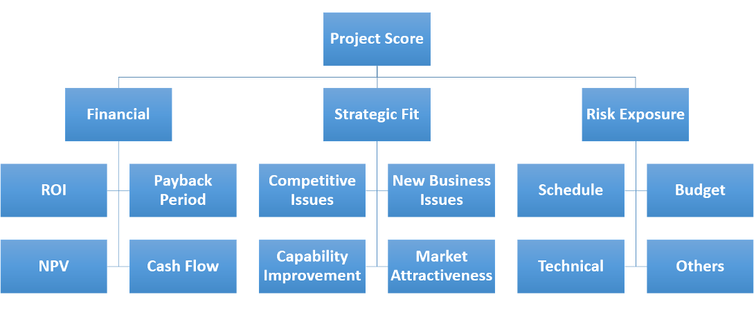 Why Capital Project Owners Should Avoid Investing in Green Elephant Projects