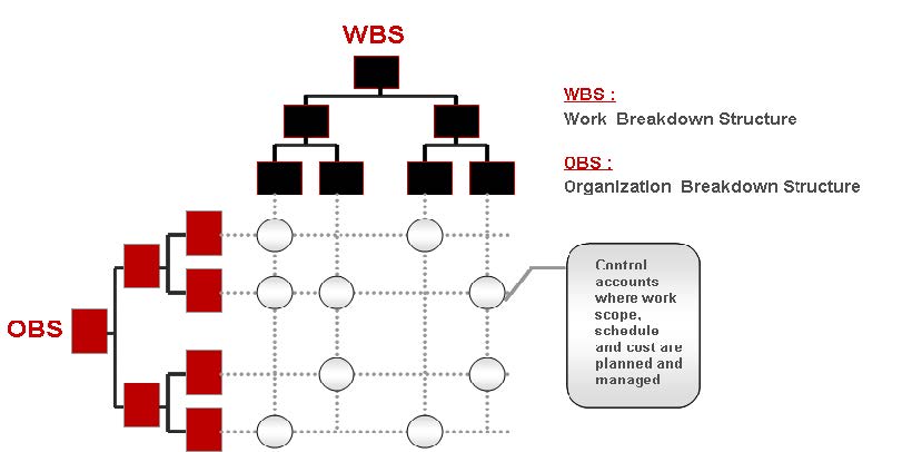 PMWeb 7 Work Breakdown Structure WBS
Organization Breakdown Structure
OBS